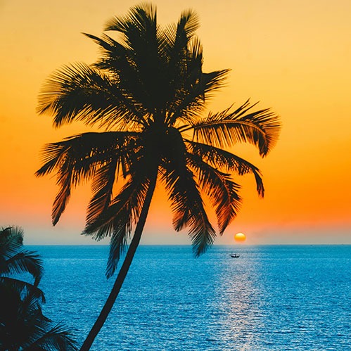 <b>Goa Tours</b><br>
Sun-kissed beaches, Portuguese heritage, nightlife & water sports.