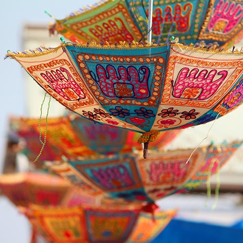 <b>Gujarat & Rann of Kutch Tours</b><br>
Gir National Park, Somnath temples, White Desert festival.