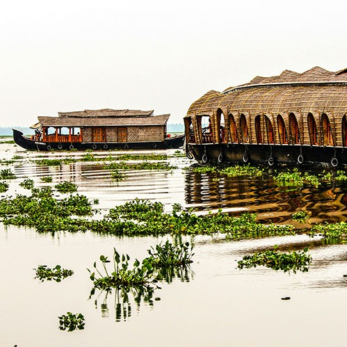 <b>Kerala Tours</b><br>
Backwater houseboats, Munnar tea estates, spice trails & Ayurveda retreats.